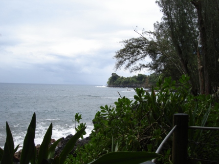 Onomea Bay Hawaii